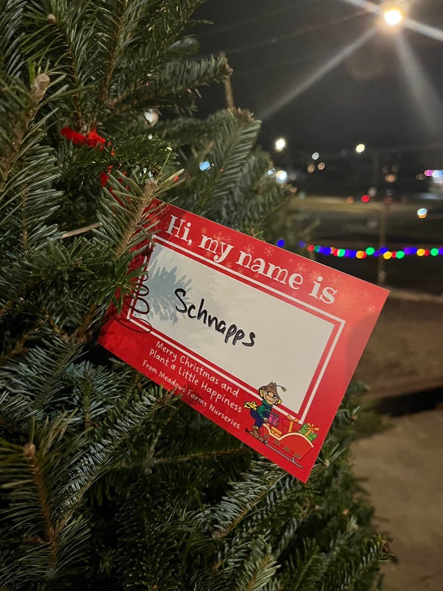 A close-up photograph of a red name tag attached to a Christmas tree at night, with colorful string lights visible in the background.