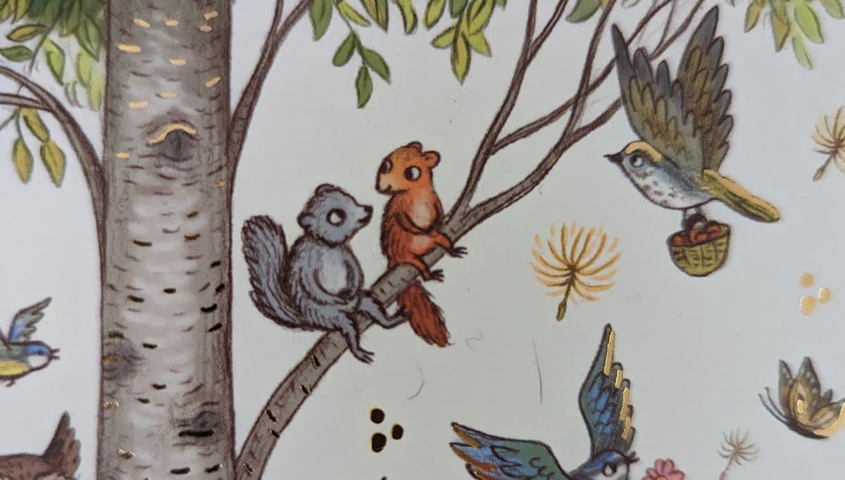 A whimsical illustration of a grey squirrel and a brown squirrel sitting on a tree branch, surrounded by birds and foliage.
