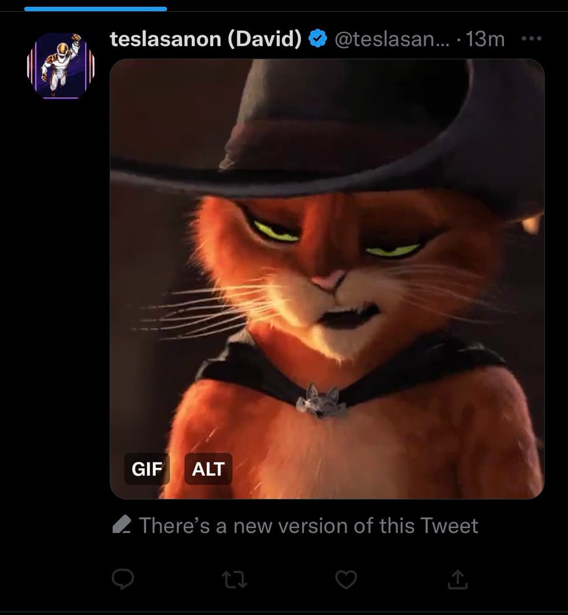 A screenshot of a Twitter post by user teslasanon (David) featuring a GIF of the animated cat character Puss in Boots. The image shows the character with a grumpy expression, and a notification at the bottom indicates the tweet has been edited.