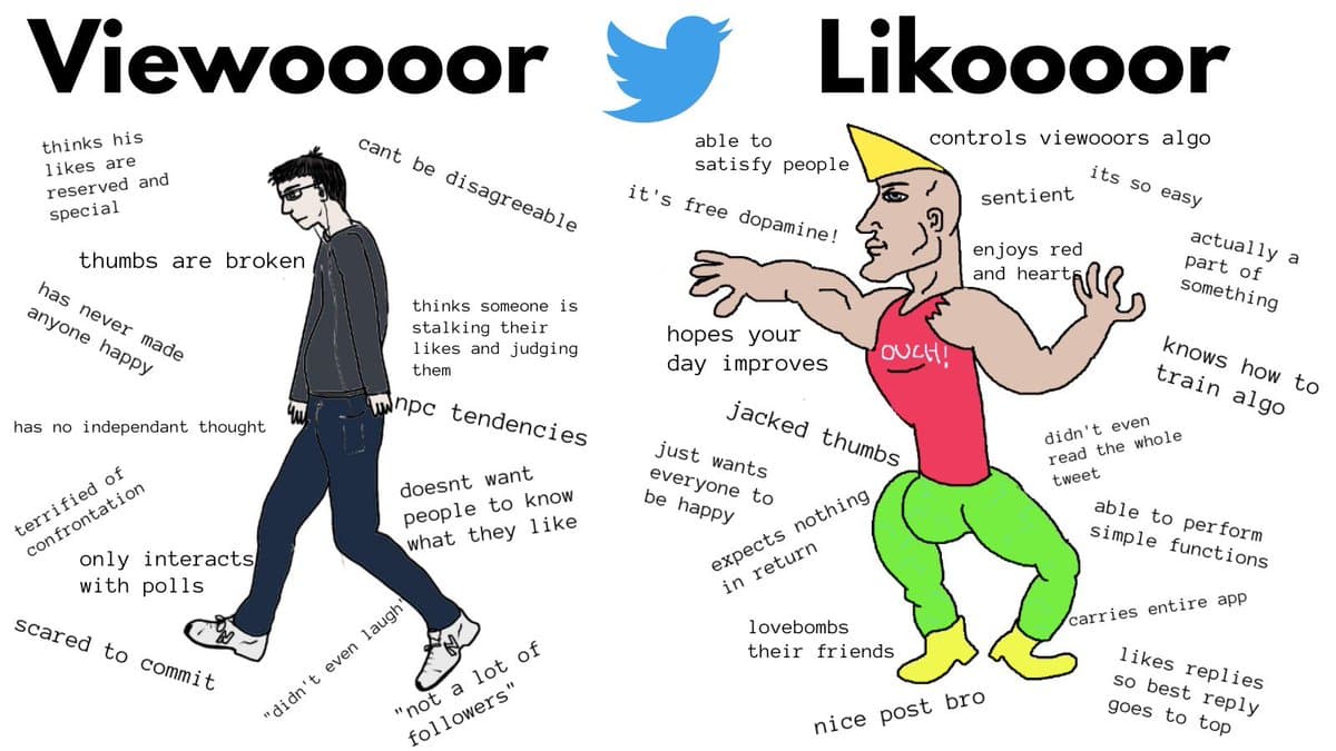 A satirical cartoon comparing two types of Twitter users, labeled 'Viewooor' and 'Likooor,' with the Twitter logo between the titles. The left side depicts a slumped, sad-looking man surrounded by negative traits, while the right side shows a muscular, confident man in a red tank top and green pants surrounded by positive traits.