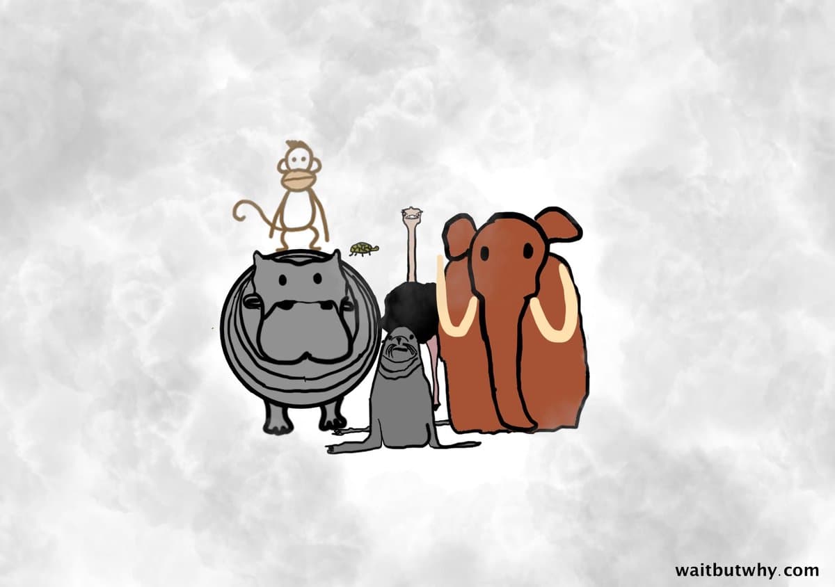 A simple cartoon illustration on a textured white background showing a group of animals, including a monkey, turtle, hippo, seal, ostrich, and elephant, standing together.