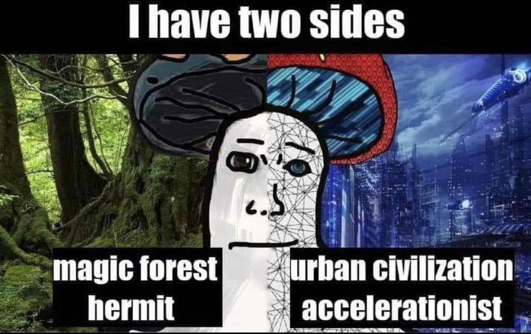 A meme featuring a split-face character with a mushroom hat, set against a background divided between a forest and a futuristic city. The image uses text to contrast two different identities or interests.