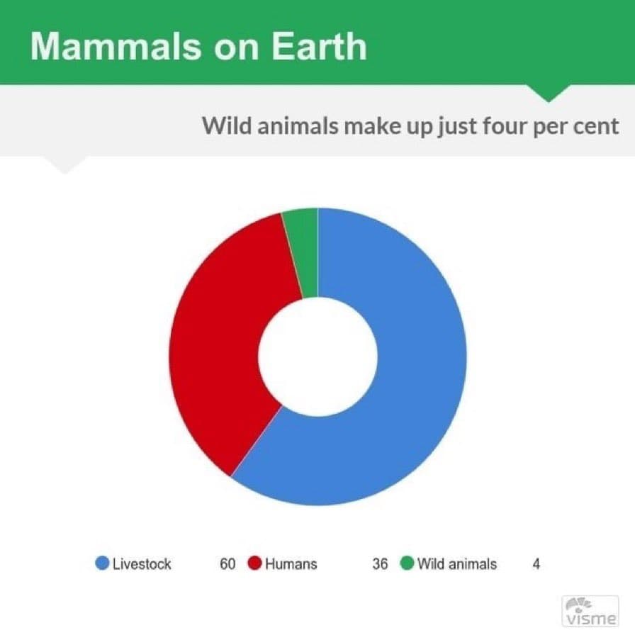 A donut chart titled 'Mammals on Earth' showing the relative proportions of livestock, humans, and wild animals. The chart is dominated by a large blue segment for livestock and a red segment for humans, with a very small green sliver for wild animals.