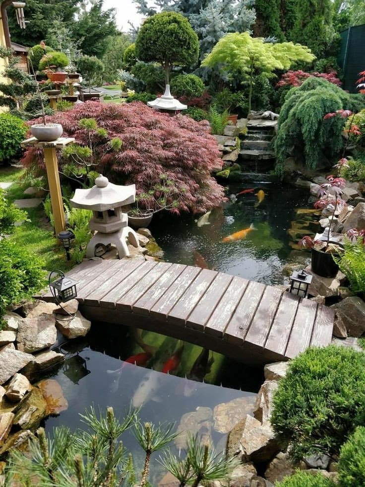 A photograph of a Japanese-style garden featuring a wooden arched bridge over a koi pond, surrounded by manicured shrubs, a stone lantern, and a tiered water feature.
