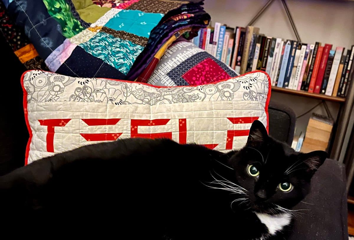 A black and white cat lies on a dark couch in front of a colorful patchwork quilt and a bookshelf. The cat is looking directly at the camera with wide eyes.