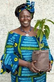 A smiling woman wearing a vibrant blue and green patterned dress and a matching headwrap holds a small potted plant with green leaves. She is standing in front of a textured, light-colored wall.