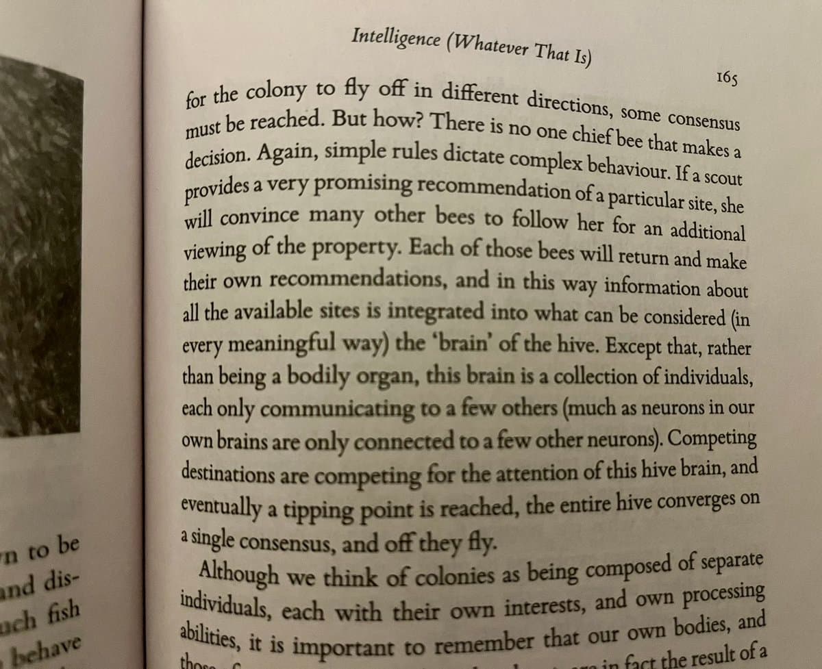 A photograph of an open book page, showing a chapter titled "Intelligence (Whatever That Is)" and page number 165. The text discusses how a bee colony reaches a consensus on a new site through collective communication, comparing the hive to a distributed brain. A partial image of a bee is visible on the left page.