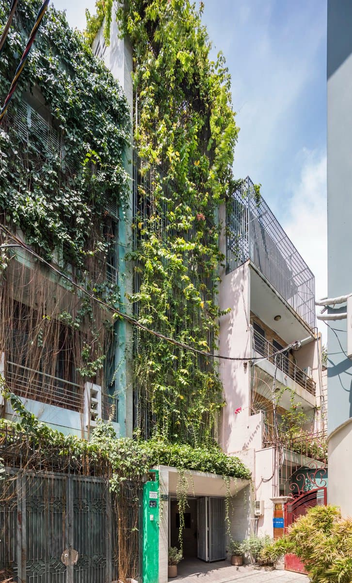 A multi-story building facade is covered in dense, climbing green vines, with a metal gate and entrance visible at the street level.