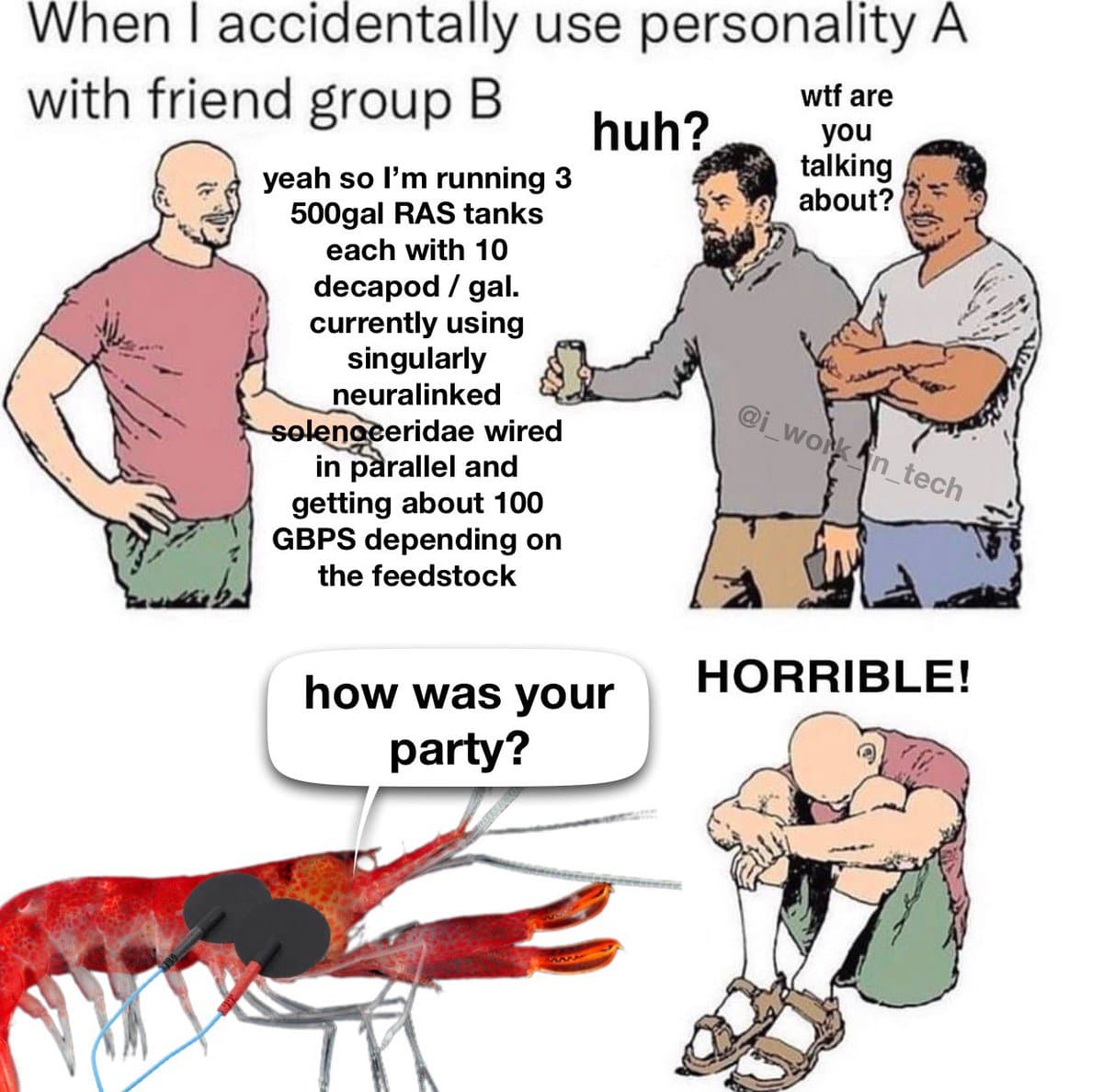 A four-panel comic meme illustrating a social misunderstanding. In the first panel, a man explains his technical setup involving 'RAS tanks' and 'neuralinked solenoceridae' to two confused friends. The second panel shows a close-up of a shrimp with electrodes attached, asking 'how was your party?'. The final panel depicts the first man sitting dejectedly with the caption 'HORRIBLE!'.