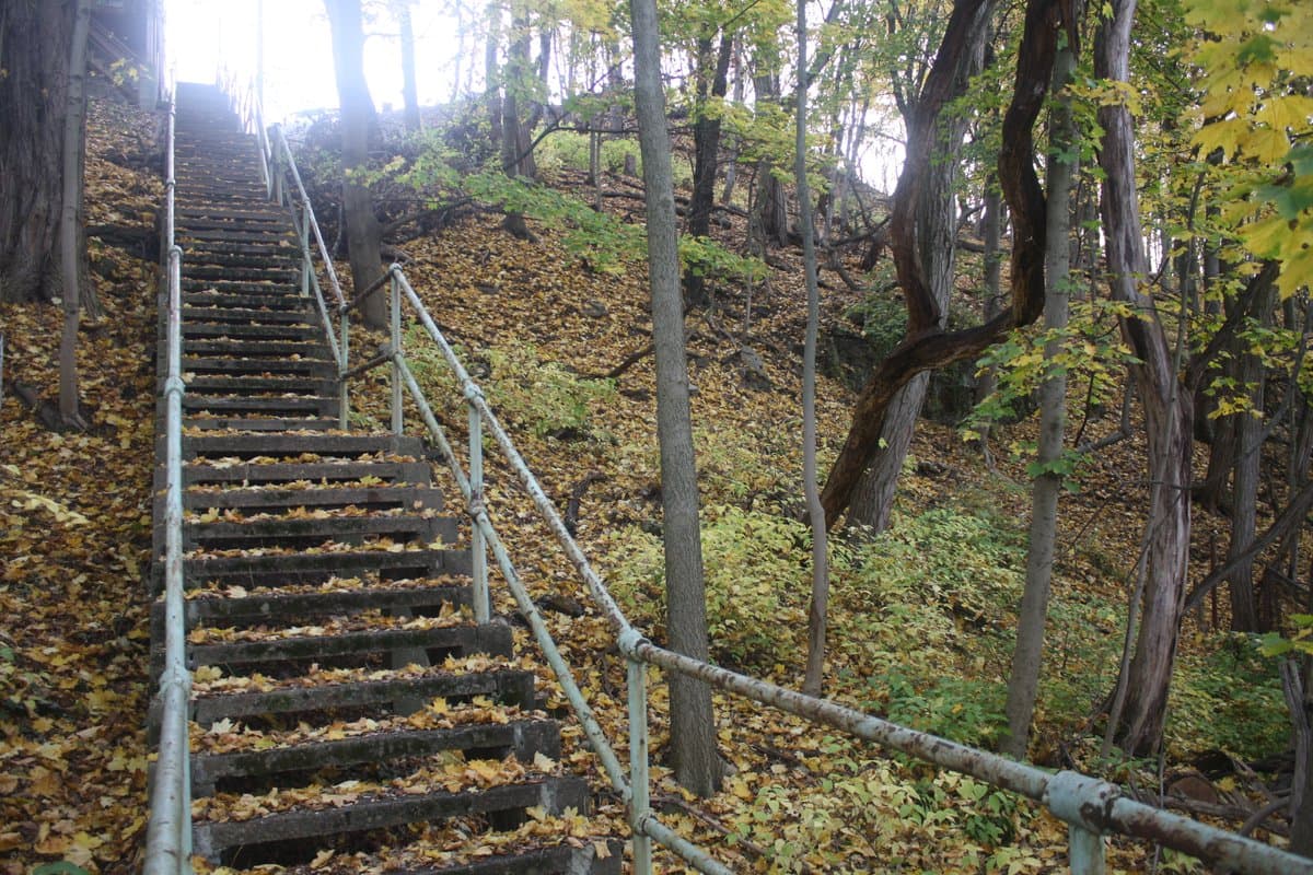A long set of concrete stairs with metal railings winds up a wooded hillside covered in fallen autumn leaves. The scene is set in a forest with tall trees and green undergrowth.