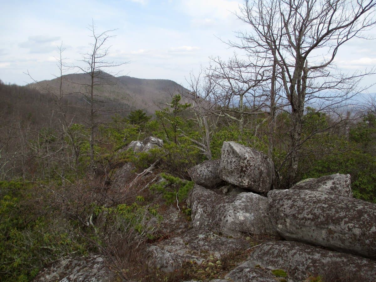A landscape photograph showing a rocky hillside with large boulders, low-lying green shrubs, and bare trees in the foreground, with a forested mountain range in the background under a cloudy sky.