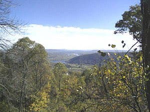 A scenic landscape photograph showing a view over a forested hillside toward a distant valley and mountains under a partly cloudy sky. The foreground features trees with autumn foliage, including a prominent tree on the right with small round fruits or buds. The image appears to be a personal photo shared on social media.