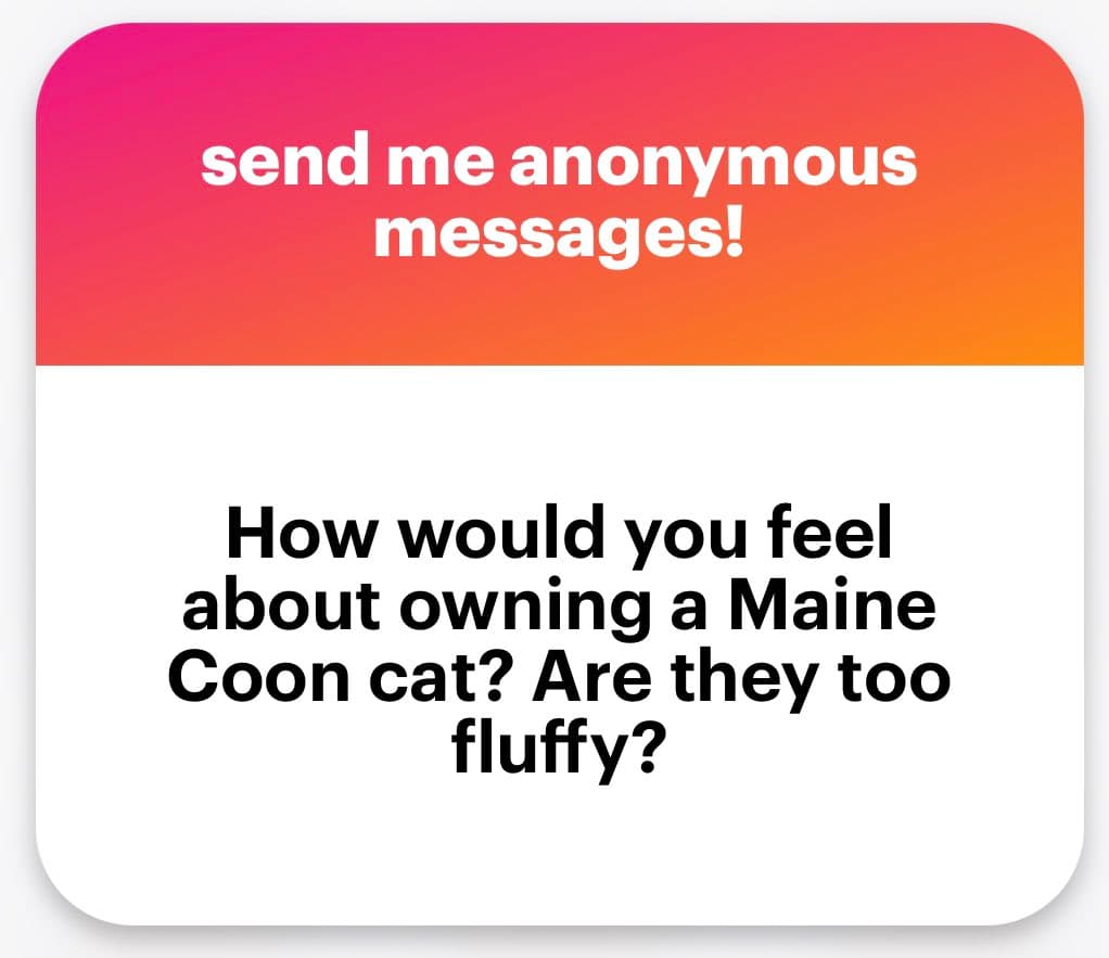 A text-based social media graphic with a pink-to-orange gradient header and a white body. The header reads "send me anonymous messages!" and the body poses a question about owning a Maine Coon cat.