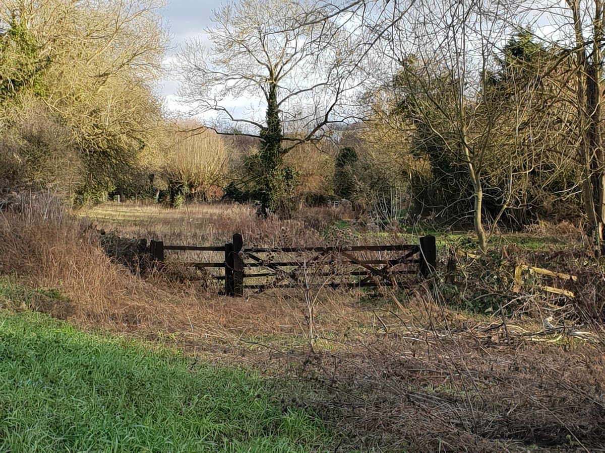 A rural landscape featuring a weathered wooden gate set in a field of dry, brown grass and brush. Bare trees and evergreens line the background under a cloudy sky, with a patch of green grass in the foreground.