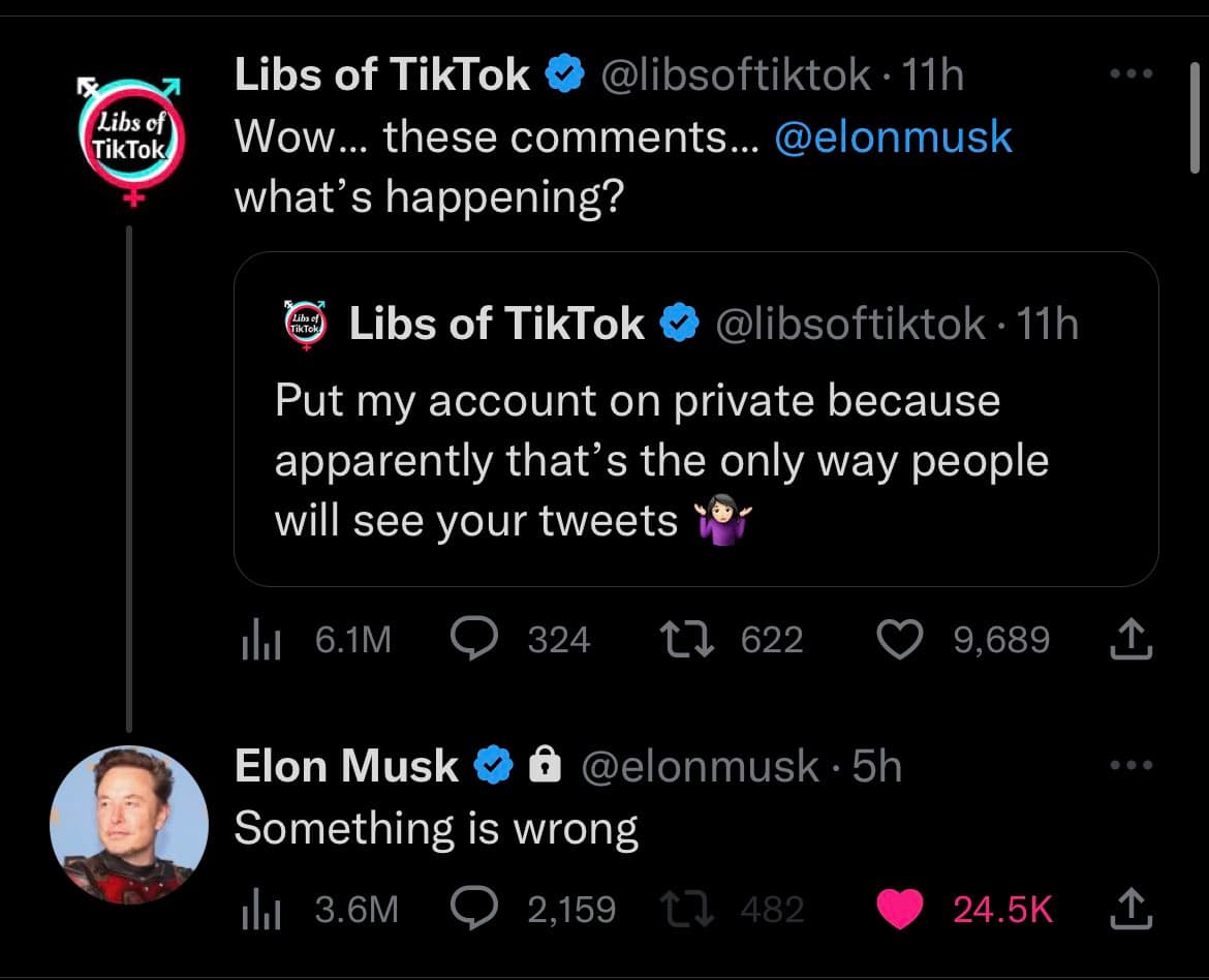 A screenshot of a Twitter conversation between the account 'Libs of TikTok' and Elon Musk. The first tweet from 'Libs of TikTok' quotes their own previous tweet about putting their account on private, and Elon Musk replies with 'Something is wrong'.