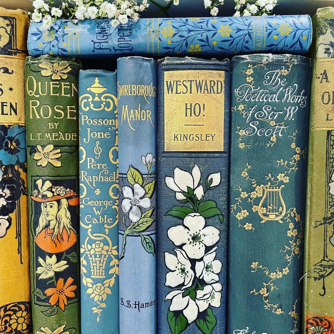A close-up photograph of a row of vintage books with ornate, colorful spines decorated with floral and illustrative designs. The books are arranged vertically, with one blue book lying horizontally on top of the others, and small white flowers are visible at the top of the frame.