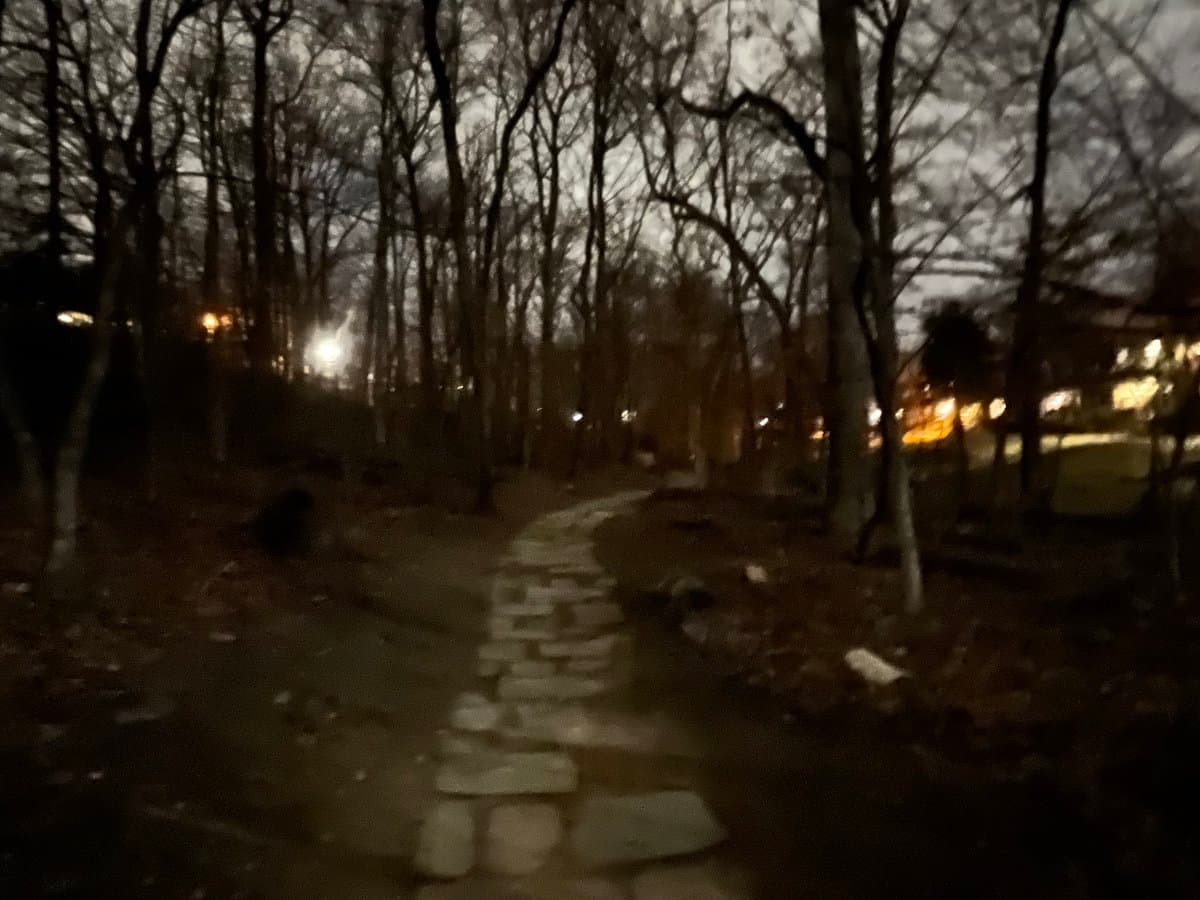 A dimly lit, nighttime photograph of a stone-paved path winding through a wooded area with bare trees. Distant lights are visible through the trees in the background, suggesting a nearby road or buildings.