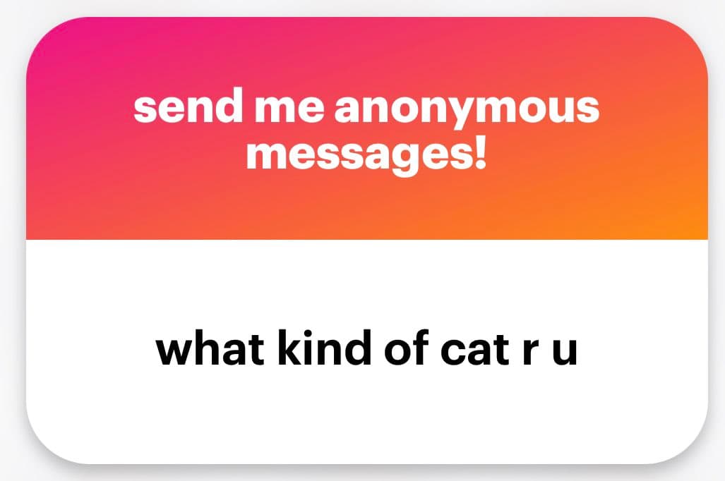 A text-based social media graphic with a two-part layout. The top section has a pink-to-orange gradient background with white text, and the bottom section has a white background with black text. The image is a prompt for anonymous messages, asking the sender to identify their cat type.