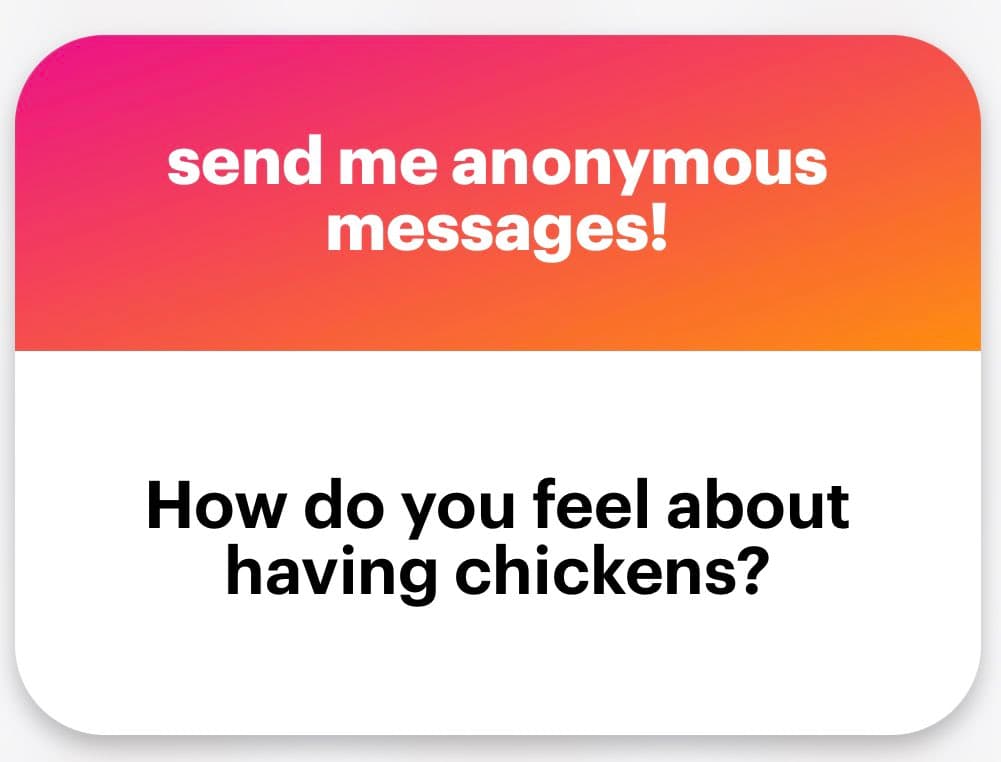 A graphic with a pink-to-orange gradient header and a white body, designed to solicit anonymous messages. The header reads 'send me anonymous messages!' and the body asks, 'How do you feel about having chickens?'