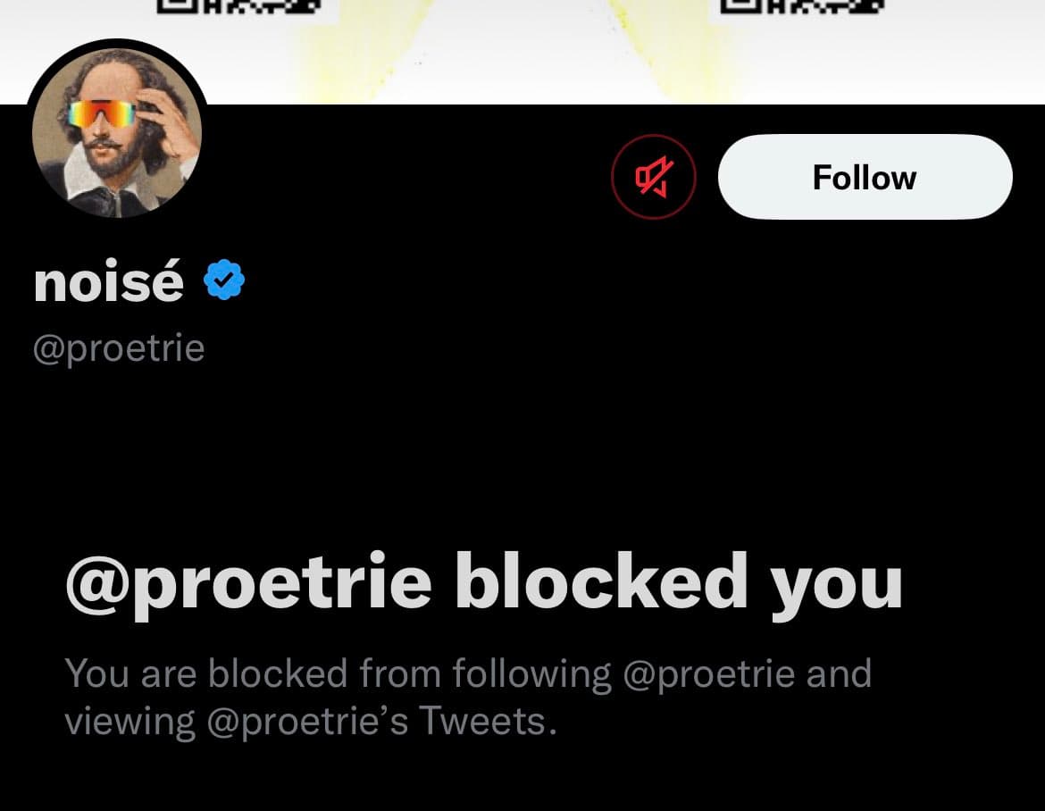 A screenshot of a Twitter profile page showing a block notification. The profile is for the user 'noisé' (@proetrie), whose avatar is a portrait of a man with a mustache wearing rainbow-tinted sunglasses. The page displays a message indicating that the viewer has been blocked by this account.