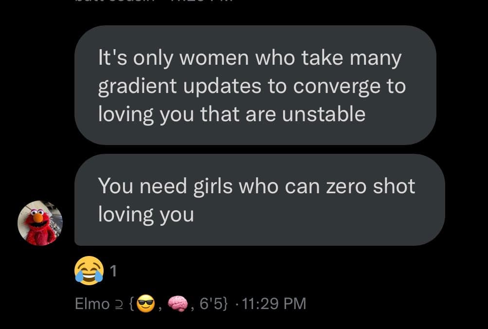 A screenshot of a text message conversation on a dark-mode phone interface. The messages use machine-learning terminology as a metaphor for romantic relationships. The sender's profile picture is the Muppet Elmo, and their username is displayed below the messages.