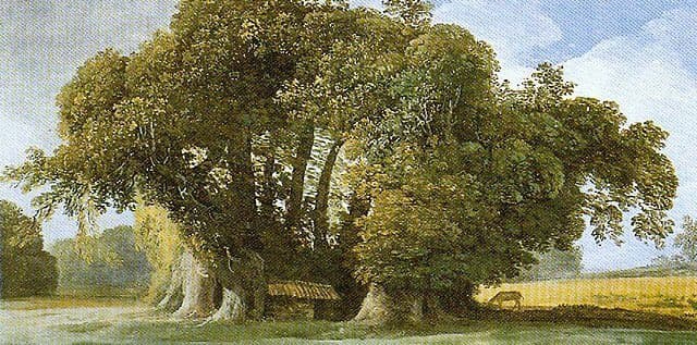 A painting of a large, sprawling tree with multiple thick trunks and a dense canopy of green leaves, set in a grassy field under a blue sky with clouds. The style is reminiscent of a classical landscape painting. In the background, there is a fence and a small animal grazing in a field.