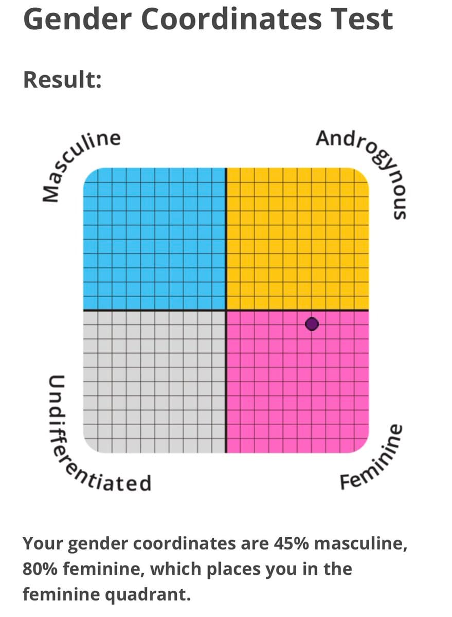 A screenshot of a 'Gender Coordinates Test' result showing a four-quadrant grid chart. A purple dot is plotted in the bottom-right quadrant, which is labeled 'Feminine' and colored pink. The other quadrants are labeled 'Masculine' (blue), 'Androgynous' (yellow), and 'Undifferentiated' (gray).