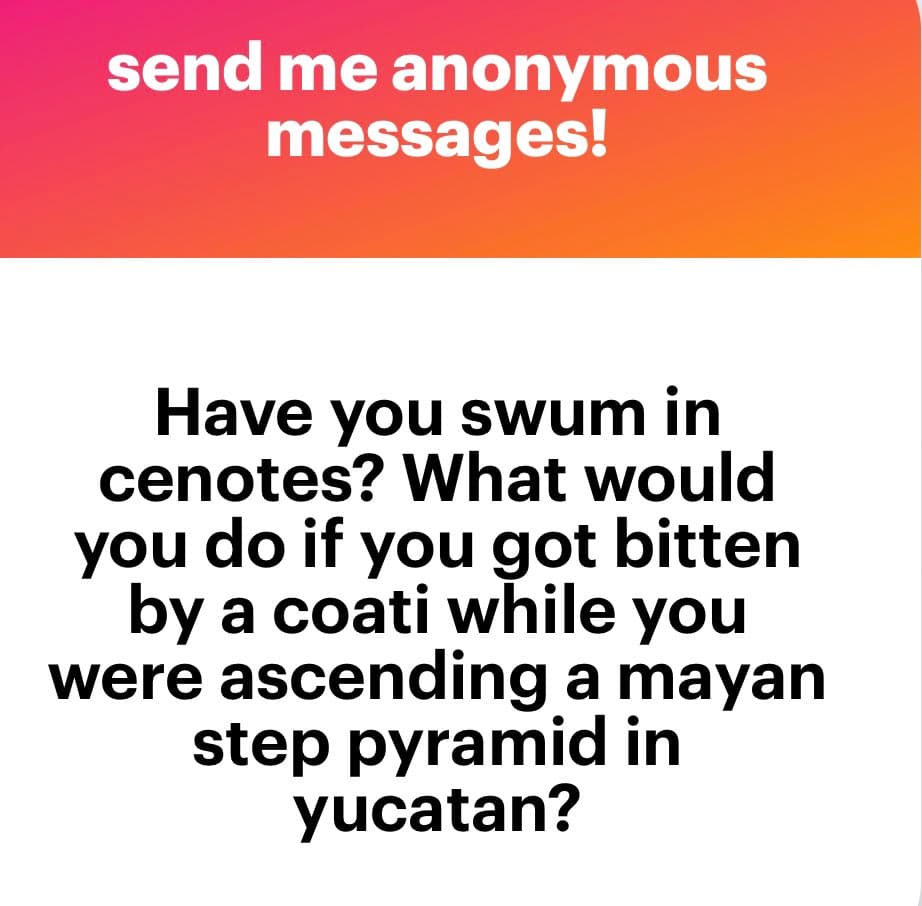 A text-based social media post with a pink-to-orange gradient header and a white body. The header invites anonymous messages, while the body poses a question about swimming in cenotes and a hypothetical coati bite.