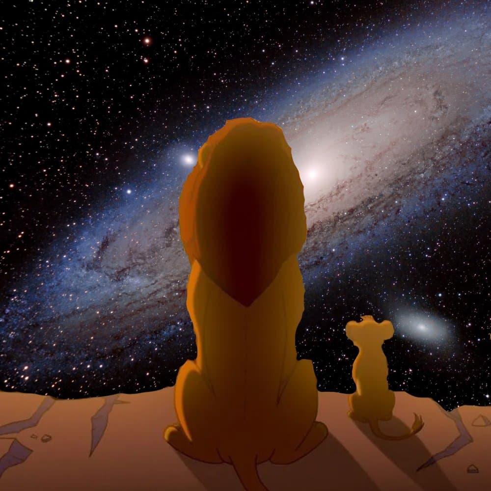 A digital illustration showing two cartoon lions, one large and one small, sitting on a rocky ledge and looking out at a vast, star-filled galaxy. The scene evokes a sense of wonder and cosmic scale.