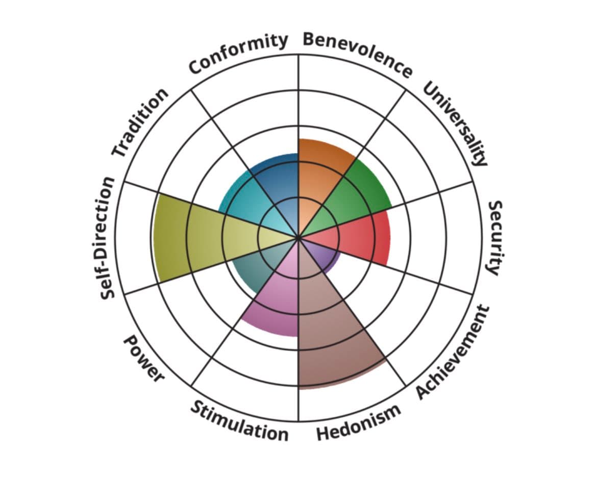 A circular radar chart (spider chart) displaying values across twelve labeled axes, with colored segments of varying lengths radiating from the center. The chart is set against a white background.