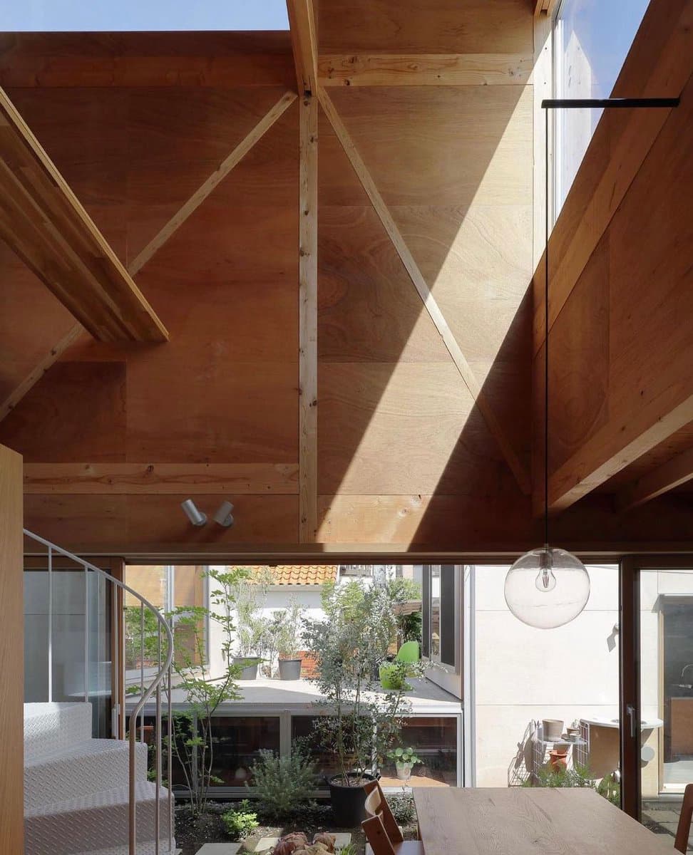 An interior photograph of a modern home featuring a high, vaulted ceiling made of light-colored wood panels and exposed beams. Sunlight streams through a skylight, casting a bright diagonal beam across the wooden structure, while a glass-walled courtyard with potted plants is visible below.