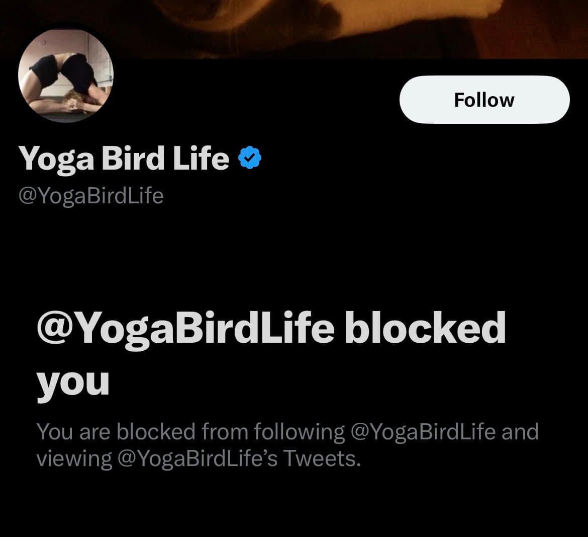 A screenshot of a Twitter profile page showing that the user has been blocked by the account. The profile is for 'Yoga Bird Life' (@YogaBirdLife), which displays a 'Follow' button and a message stating the viewer is blocked from following or viewing the account's tweets.