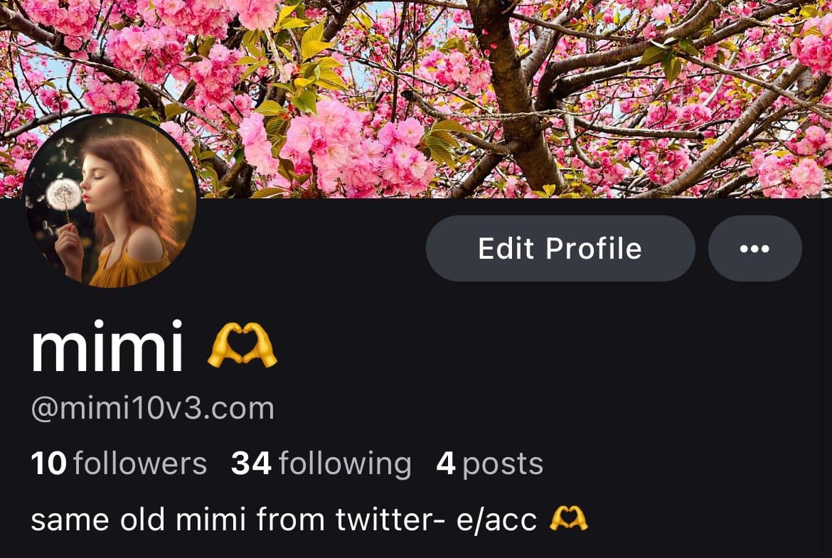 A screenshot of a Twitter profile page for the user "mimi". The profile features a banner image of pink cherry blossoms and a circular profile picture of a woman blowing dandelion seeds.
