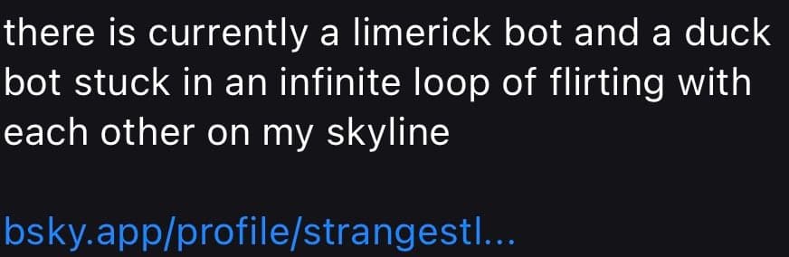 A screenshot of a social media post with white text on a black background. The text describes a humorous situation involving two bots on the Bluesky platform. A blue hyperlink is visible at the bottom.