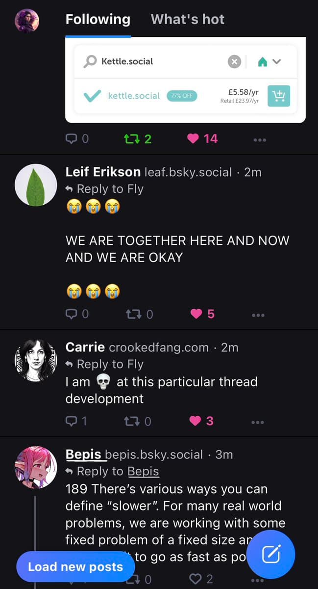 A screenshot of a social media feed (Bluesky) showing a thread of replies to a user named 'Fly'. The top post is a screenshot of a search result for 'Kettle.social' showing a 77% discount, followed by replies from users Leif Erikson, Carrie, and Bepis.