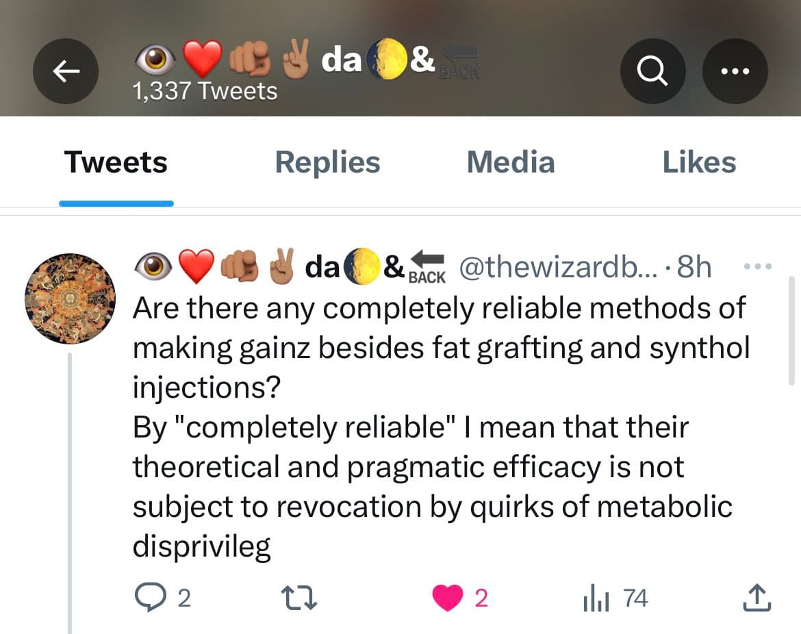A screenshot of a Twitter profile page showing a single tweet. The tweet, posted by the user @thewizardb... 8 hours ago, asks about reliable methods for making 'gainz' besides fat grafting and synthol injections, and defines 'completely reliable' in a detailed, humorous way.