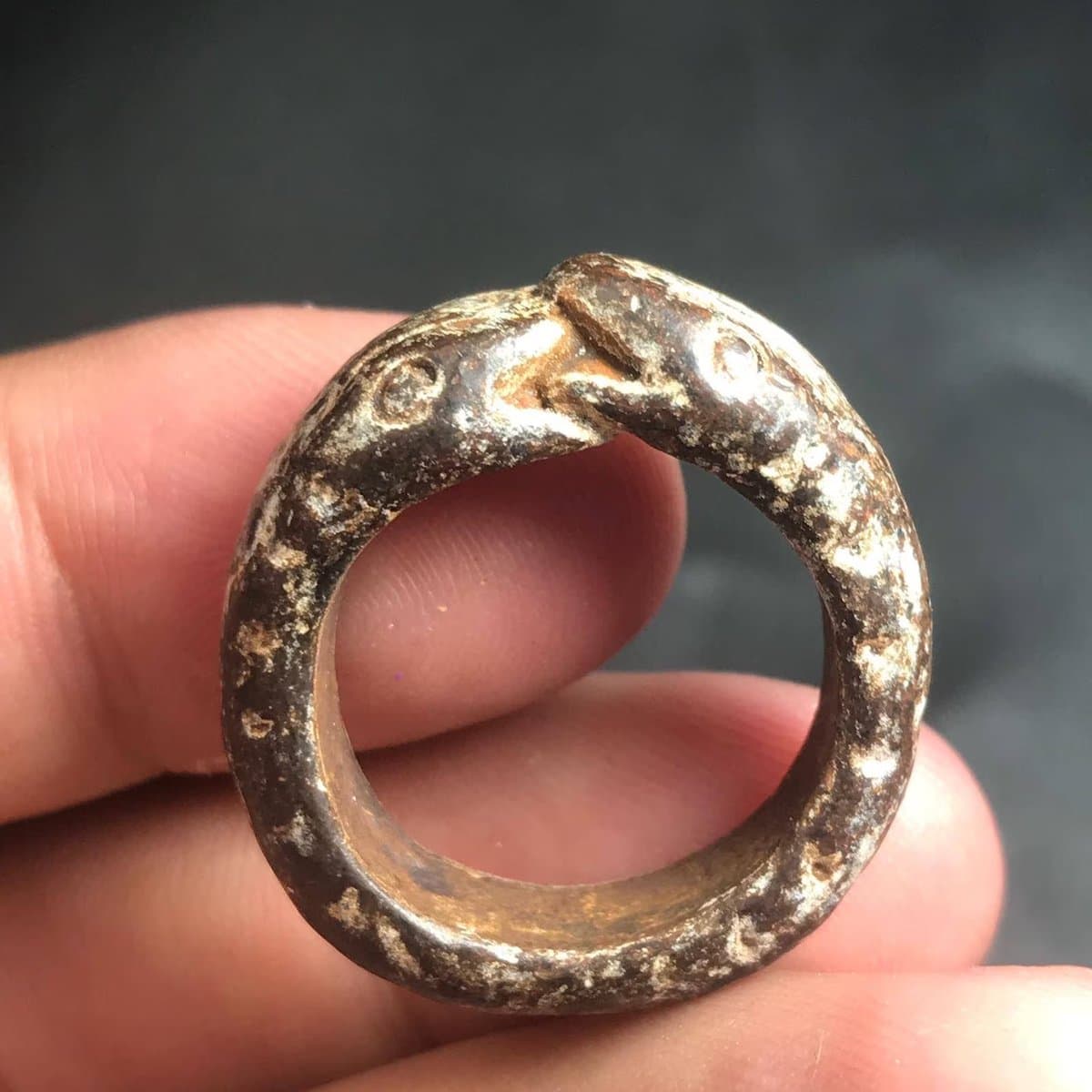 A close-up photograph of a person's fingers holding a tarnished, circular metal ring. The ring is designed as an ouroboros, with a snake's head biting its own tail, featuring small engraved eyes and a textured surface.