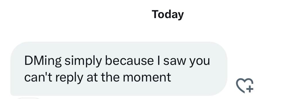 A screenshot of a direct message conversation showing a single message bubble. The message reads: "DMing simply because I saw you can't reply at the moment."