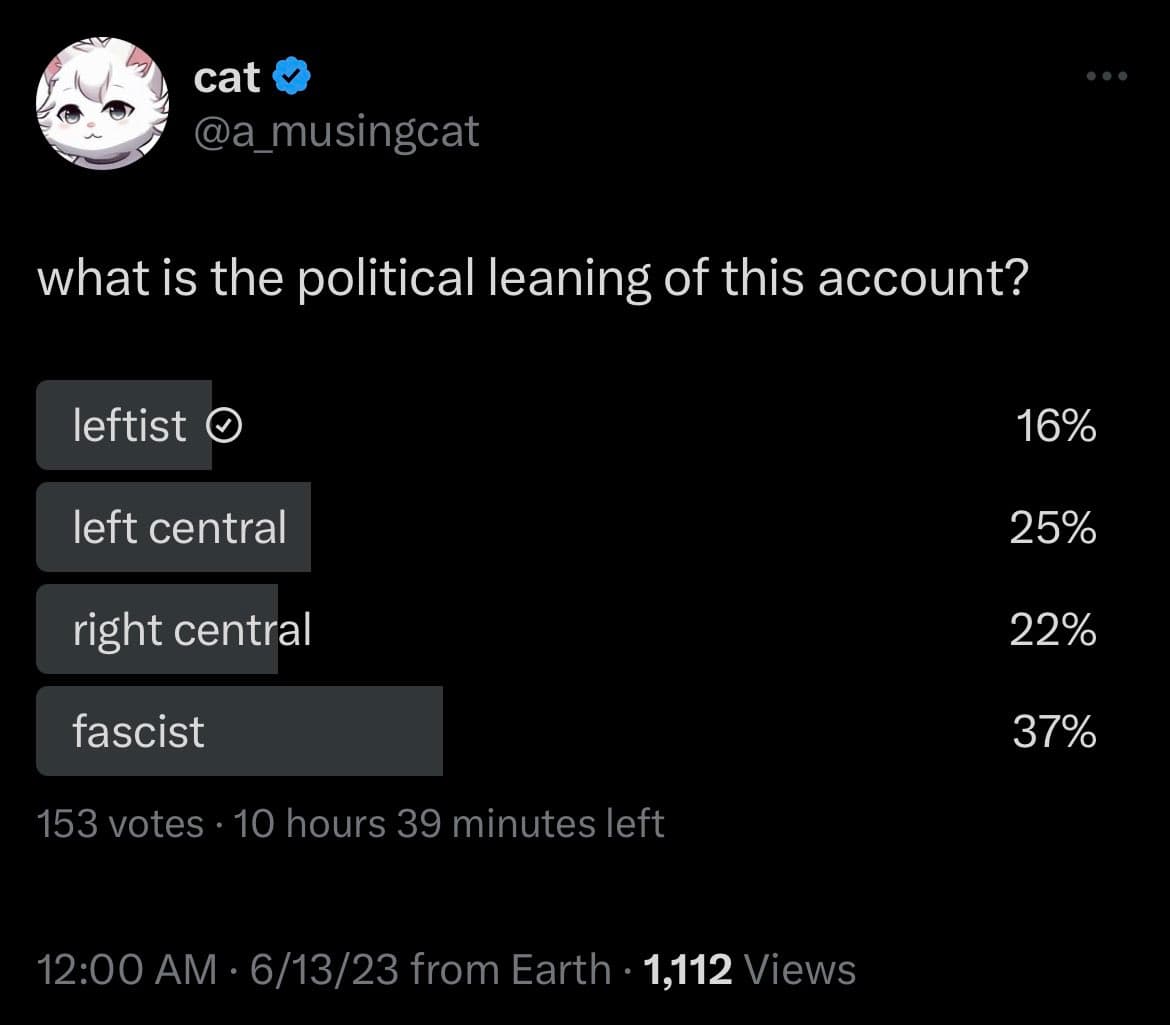 A screenshot of a Twitter poll from the account @a_musingcat, asking about the account's political leaning. The poll shows four options with their respective vote percentages: 'leftist' (16%), 'left central' (25%), 'right central' (22%), and 'fascist' (37%).