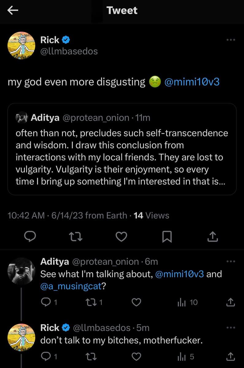 A screenshot of a Twitter conversation featuring a thread between users Rick (@llmbasedos) and Aditya (@protean_onion). The image displays a main tweet quoting a longer post, followed by a reply thread containing aggressive language.