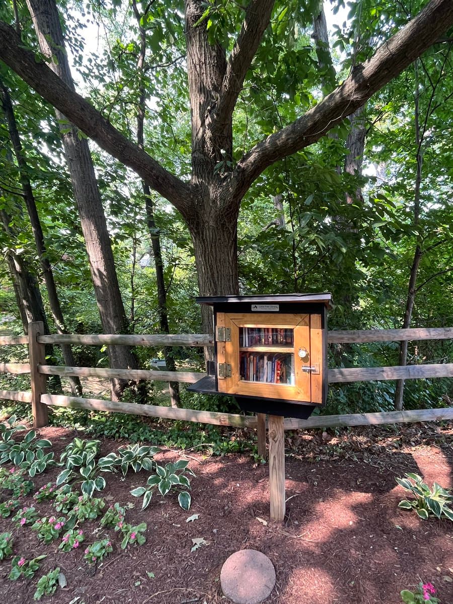 A small, wooden Little Free Library box mounted on a post in a garden, filled with books and situated in front of a wooden fence and trees.