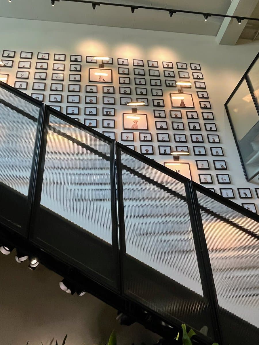 A low-angle interior shot of a modern office space featuring a black metal and ribbed glass staircase railing in the foreground. The background wall is decorated with a large grid of small, framed photographs, with several larger, illuminated frames interspersed throughout the display.