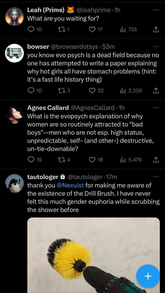 A screenshot of a Twitter thread showing a conversation about evolutionary psychology, ending with a user's sarcastic comment about a drill brush. The final tweet includes an image of a yellow and black drill brush attachment on a power drill.