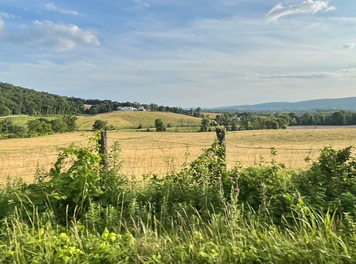 A scenic landscape photograph showing a rural view with a golden wheat field in the foreground, bordered by a wire fence and lush green vegetation. In the distance, rolling hills covered in trees and a few buildings are visible under a partly cloudy blue sky.