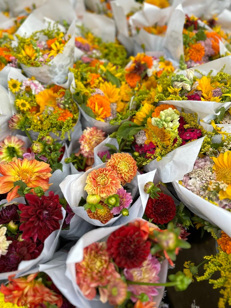 A close-up photograph showing numerous colorful flower bouquets wrapped in white paper, arranged closely together. The bouquets feature a vibrant mix of orange, yellow, red, and pink flowers, including daisies and dahlias, along with green foliage.