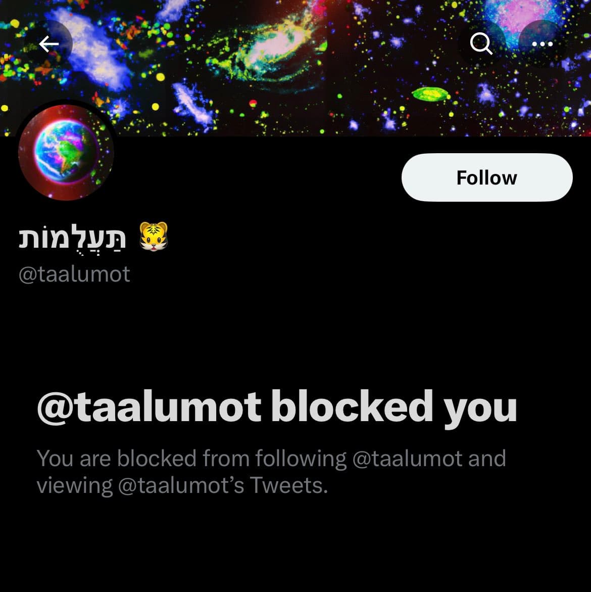 A screenshot of a Twitter profile page showing a block notification. The profile belongs to the user @taalumot, whose display name is in Hebrew (תעלמות) with a tiger emoji. The page indicates that the viewer has been blocked by this account.