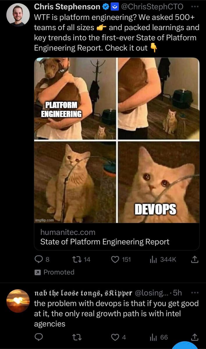 A screenshot of a Twitter thread featuring a promoted post from Chris Stephenson about a 'State of Platform Engineering Report,' which includes a four-panel meme comparing 'PLATFORM ENGINEERING' (a person holding a dog) to 'DEVOPS' (a cat). Below it is a reply from user @losingcontrol23.