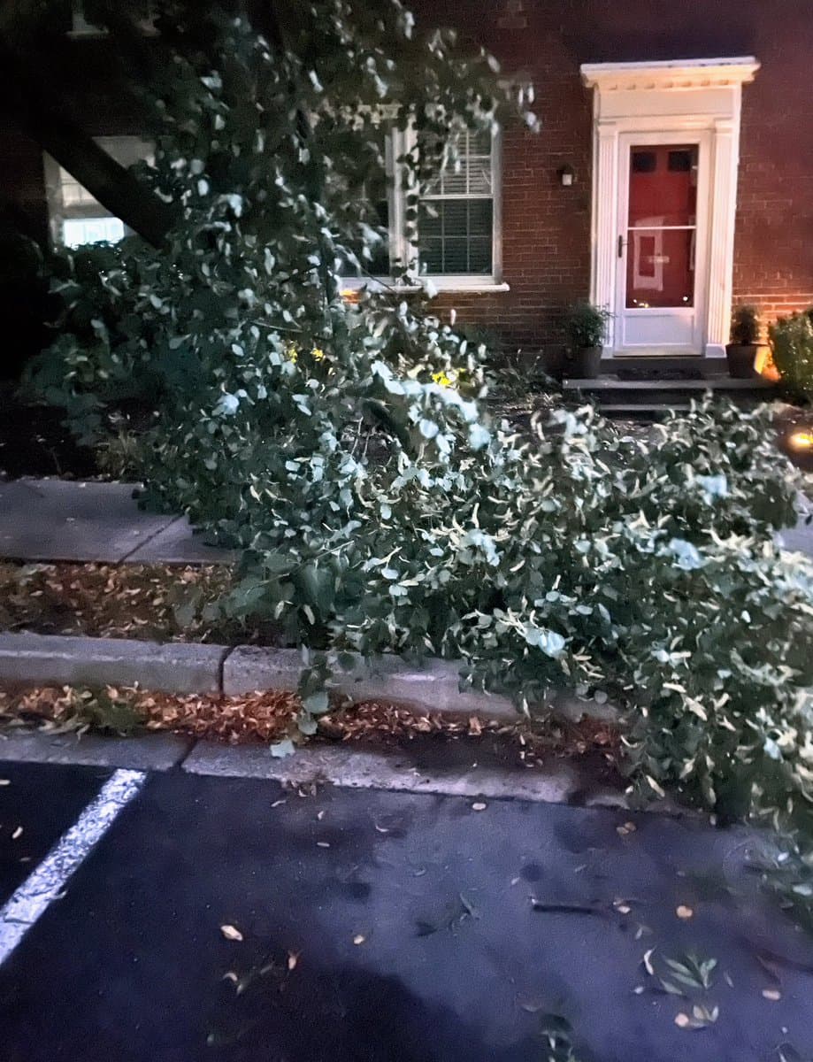 A nighttime photograph of a brick house with a red door, partially obscured by a large, leafy tree branch that has fallen onto the sidewalk and street in the foreground.