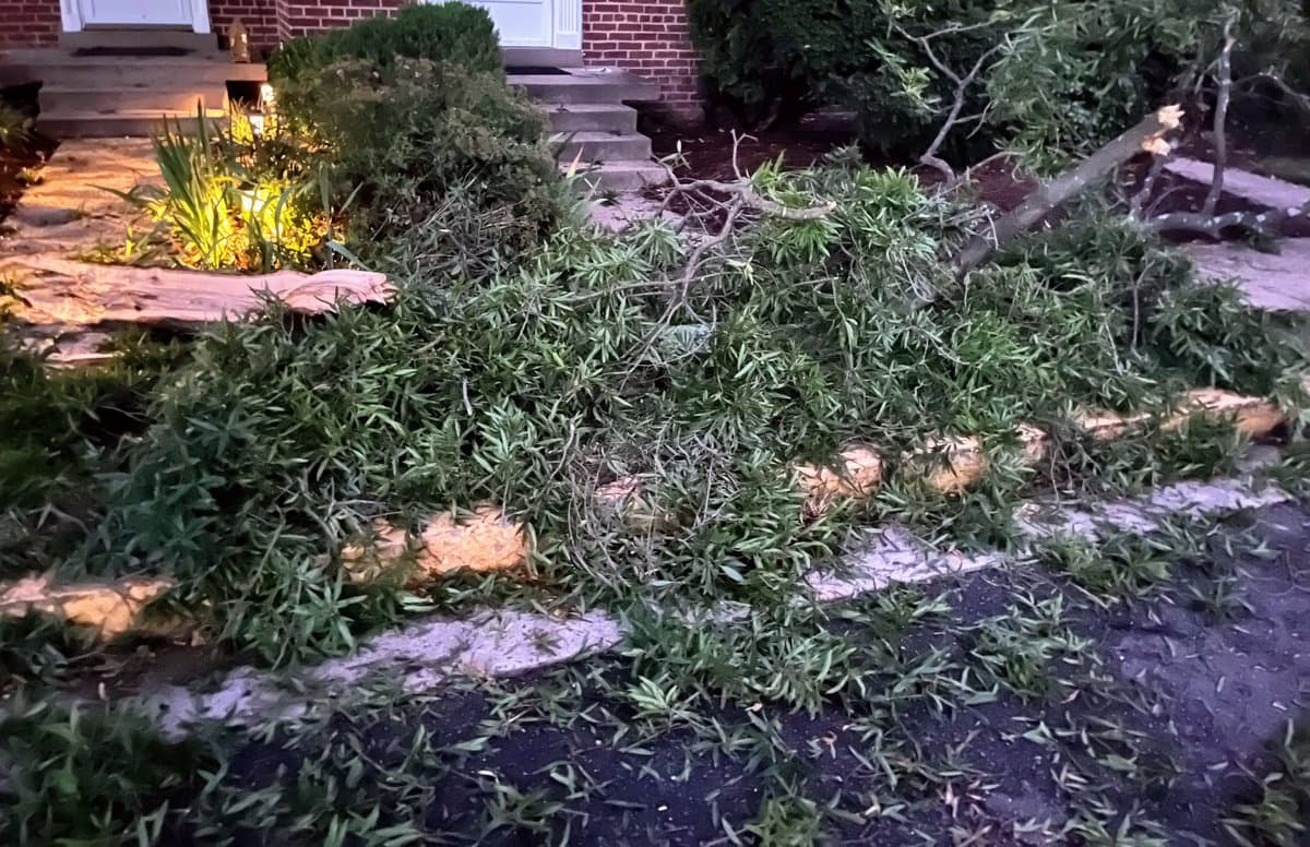 A photograph showing a large pile of broken tree branches and leaves covering a stone walkway in front of a brick house at night. A snapped tree limb is visible on the right side of the debris.