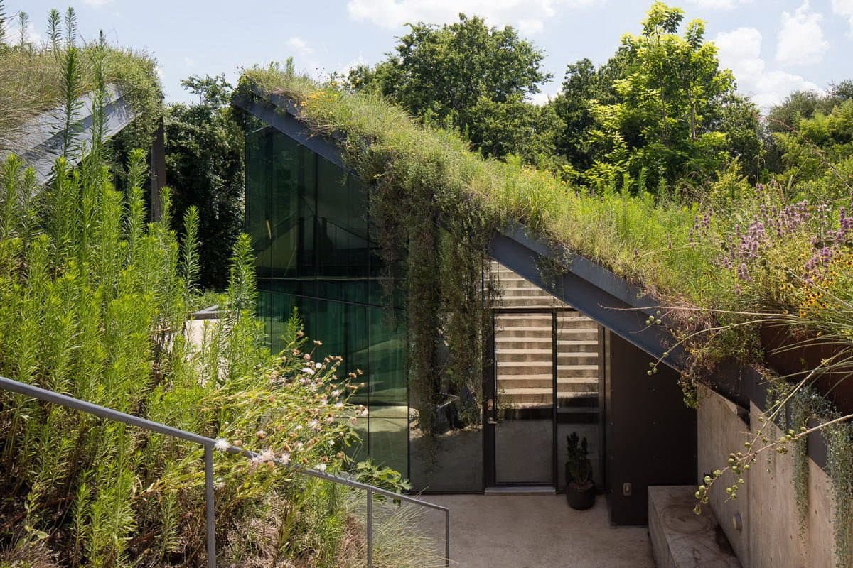 A modern architectural structure featuring a steep, living green roof covered in grasses and wildflowers that cascades down the sides. The building has large glass windows and a dark exterior, blending into a lush, overgrown natural landscape with tall plants and trees.